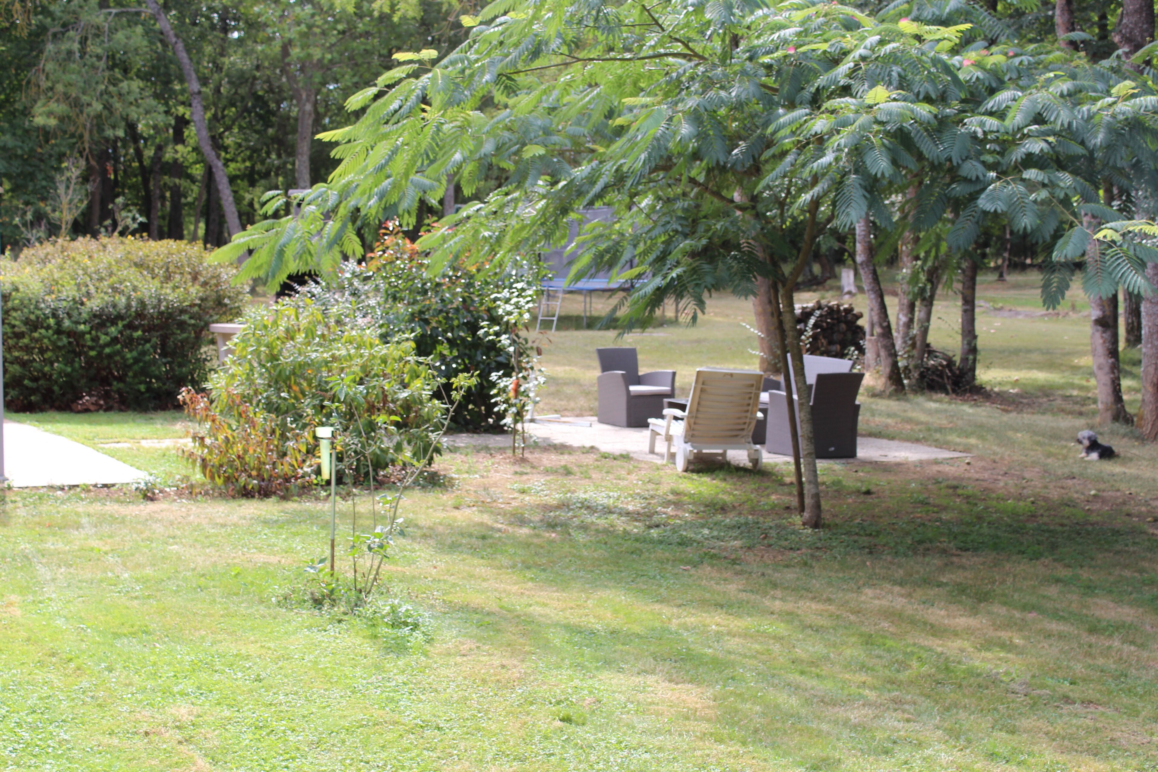 A grassy outdoor area with a patio table and chairs, surrounded by trees and bushes.