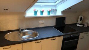 Une cuisine compacte dotée d’une lucarne, d’un évier, d’une cuisinière et d’un lave-vaisselle.