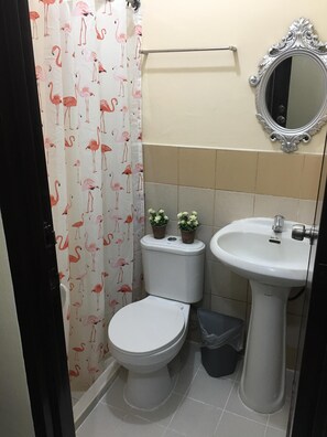 Hair dryer, towels, soap, shampoo