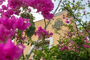 La Rosa de Oro features a traditional design with a decorative cornice and vibrant bougainvillea flowers.
