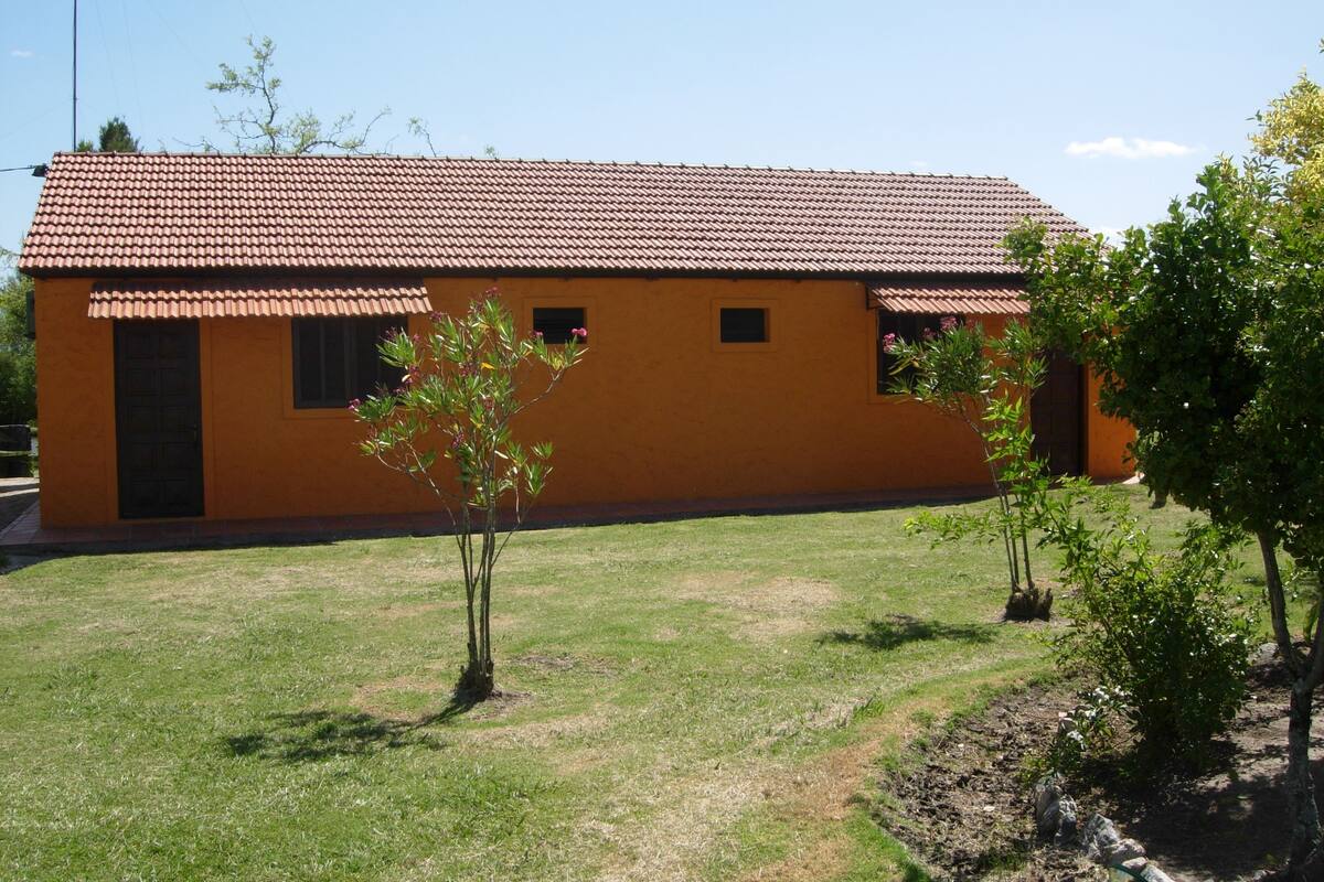 Standard Room, Multiple Beds, Garden View