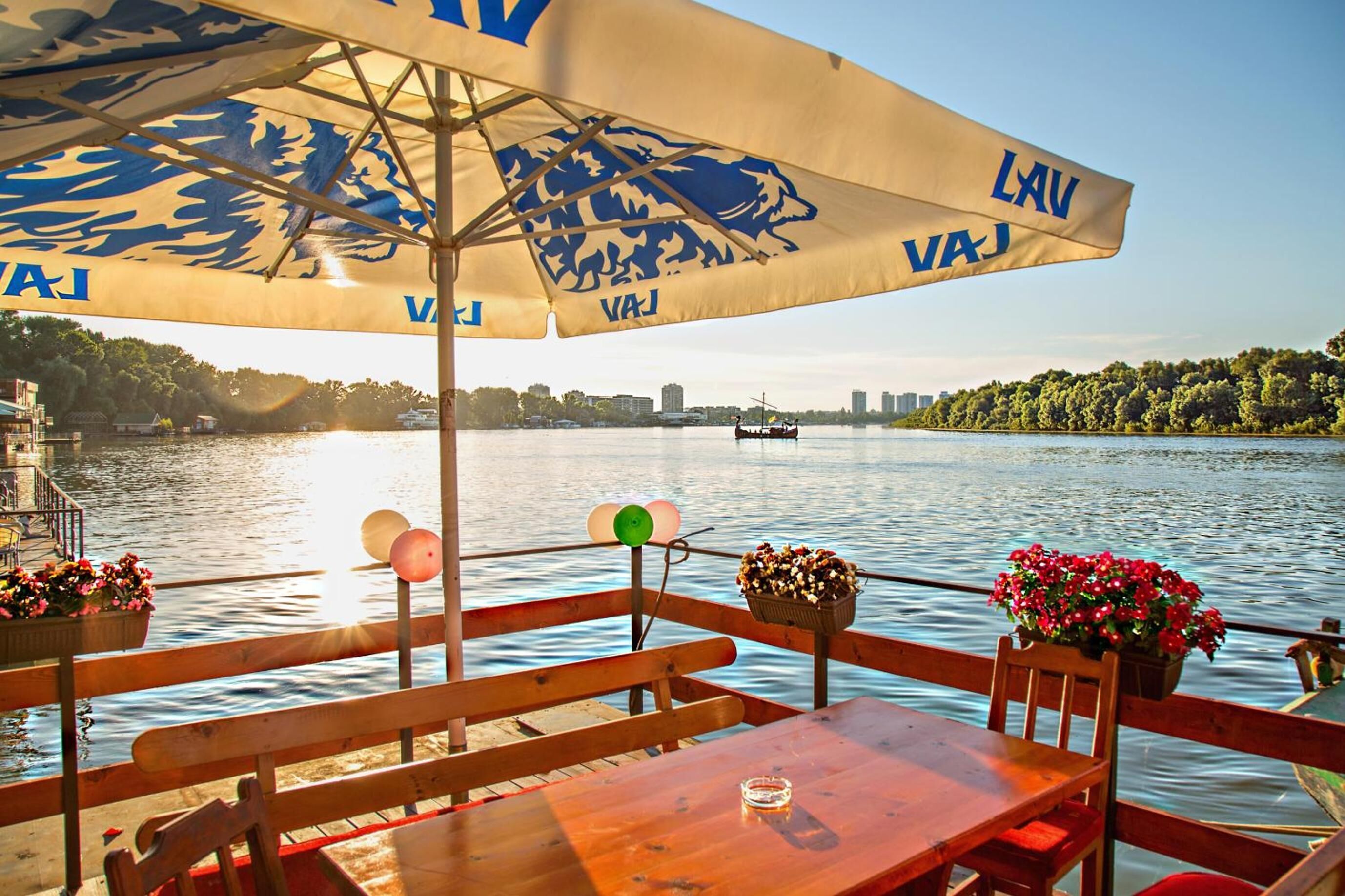 Foto - Green House Hostel