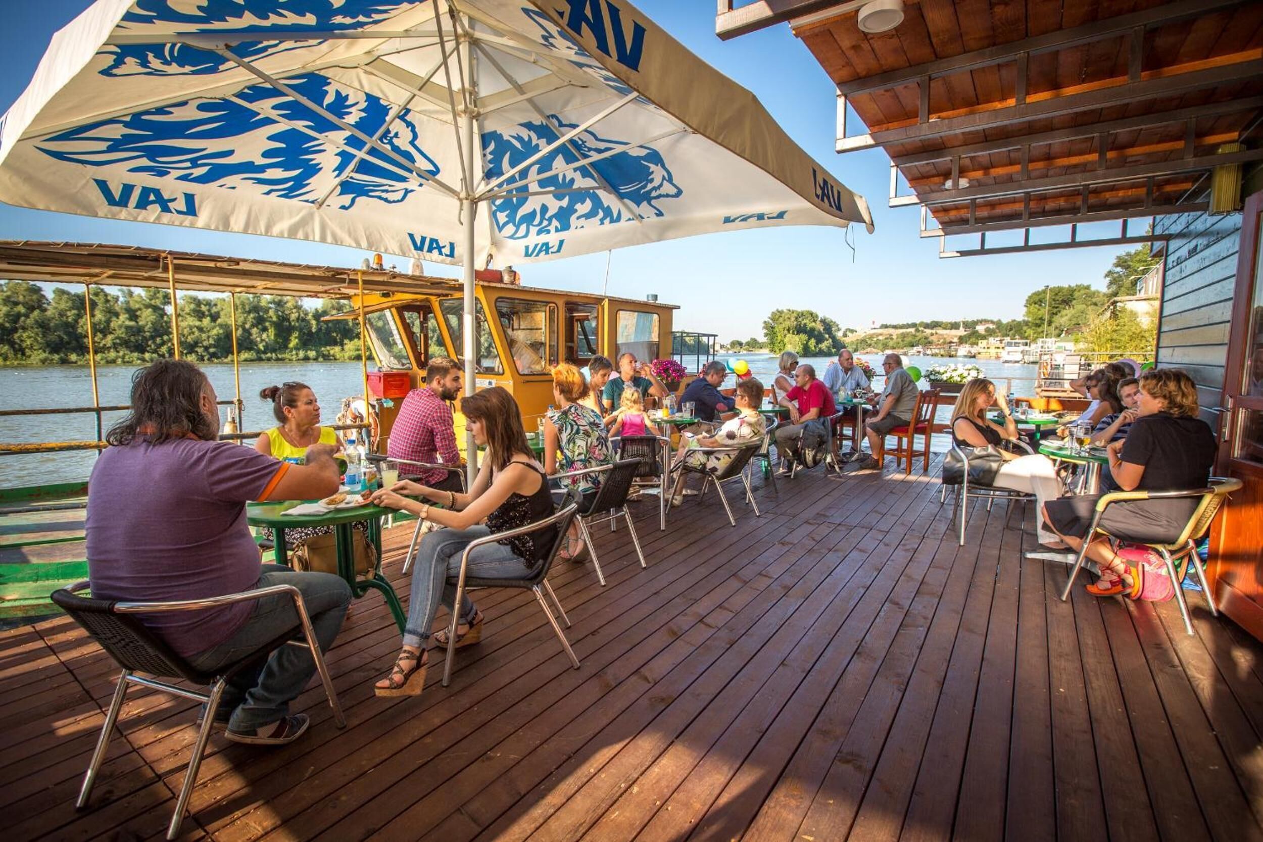 Foto - Green House Hostel