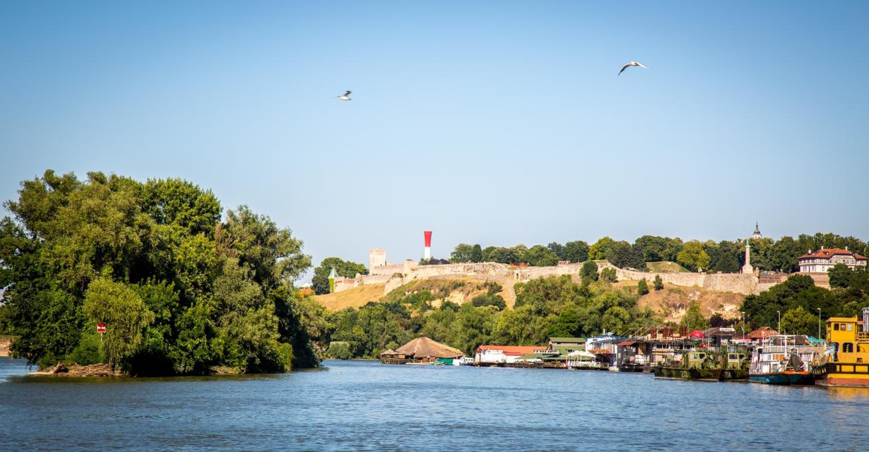 Foto - Green House Hostel