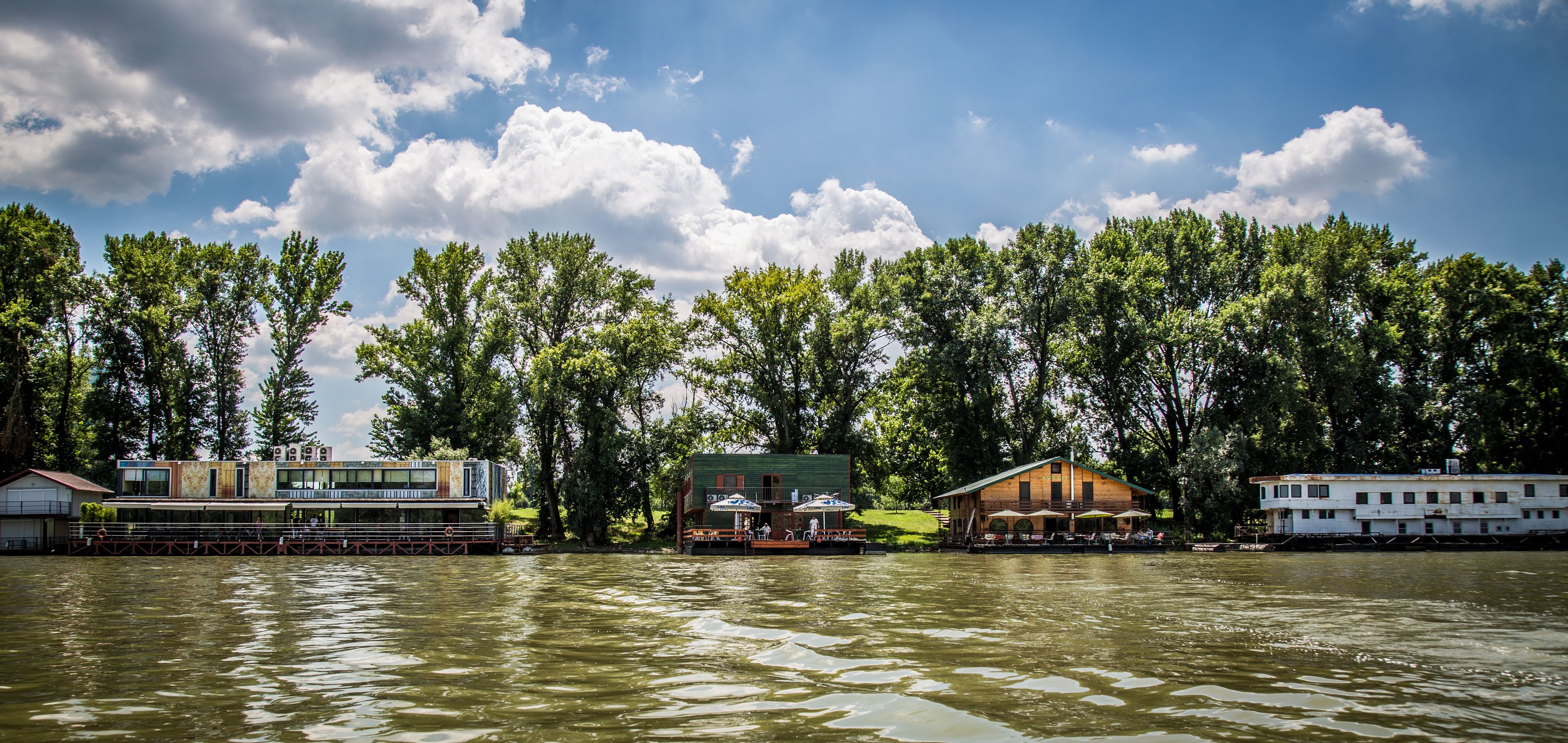 Foto - Green House Hostel