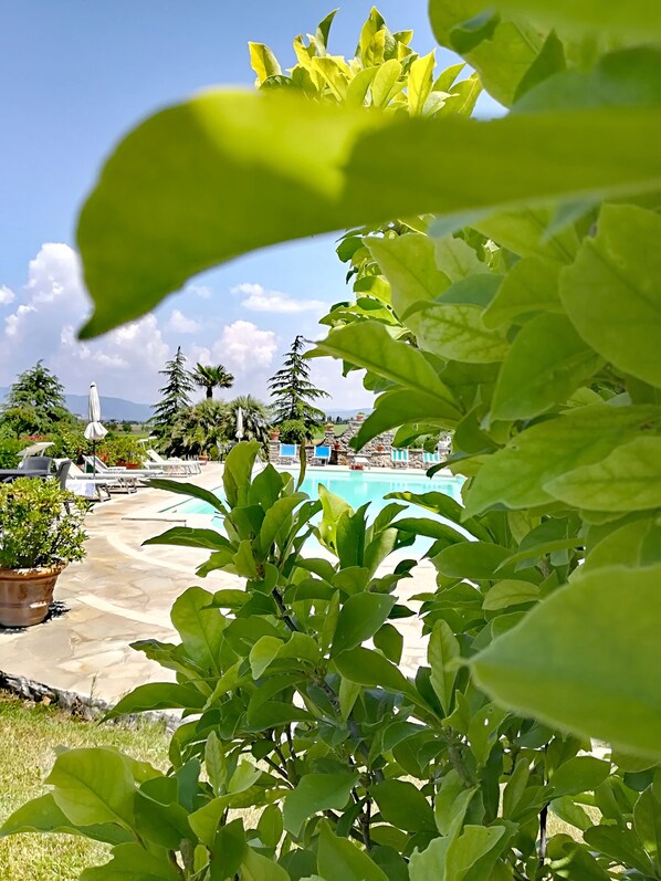 Seasonal outdoor pool - Casa dei Pini (Cortona)