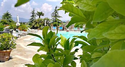 Casa dei Pini