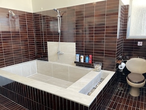 Combined shower/tub, hair dryer, towels, soap