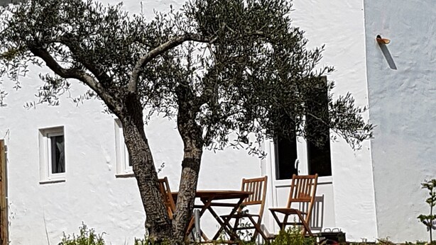 A white building with a tiled roof, a tree, and outdoor furniture. - Quinta dos Cochichos – Country Houses (Olhao)
