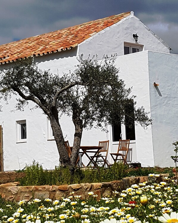 Duplex Cottage, 1 Bedroom, Terrace (Casa da Oliveira) | Terrace/patio