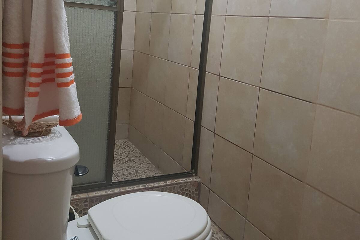 Singola Basic, 1 letto queen | Bagno | Doccia, set di cortesia gratuito, asciugamani, sapone
