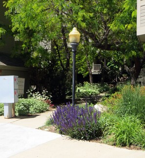 Surrounded by lush greenery, this outdoor space offers a serene atmosphere.