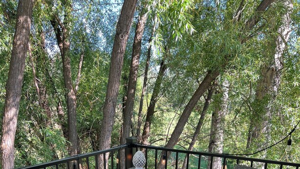 Une terrasse extérieure avec deux fauteuils en osier et une petite table, le tout entouré d’arbres.