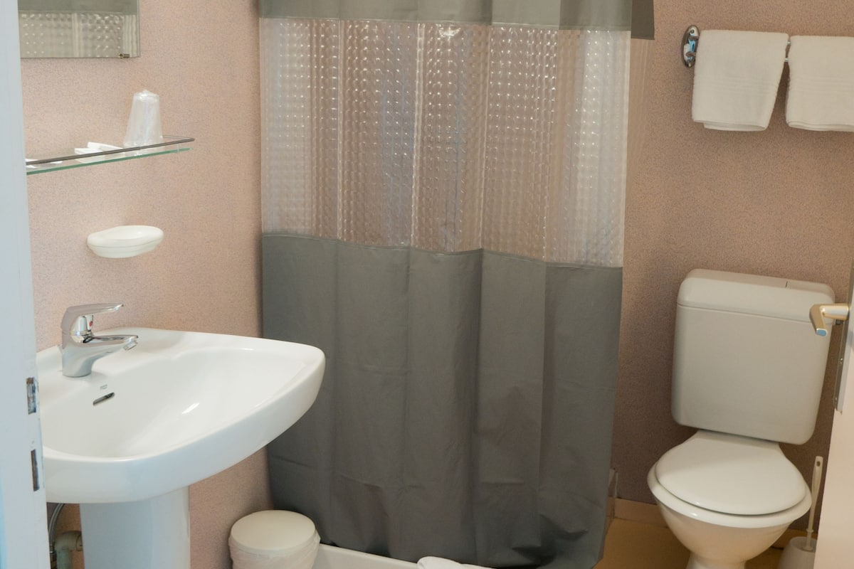 hair dryer, towels, soap, shampoo