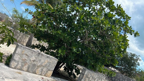 A patio area with a table and chairs, surrounded by stone walls and greenery. - Island Turquoise Rental- Spacious Two bedroom & 2 Bathroom (Providenciales)