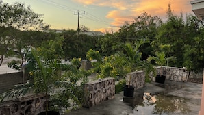 A rooftop garden with potted plants and a stone wall. - Island Turquoise Rental- Spacious Two bedroom & 2 Bathroom (Providenciales)