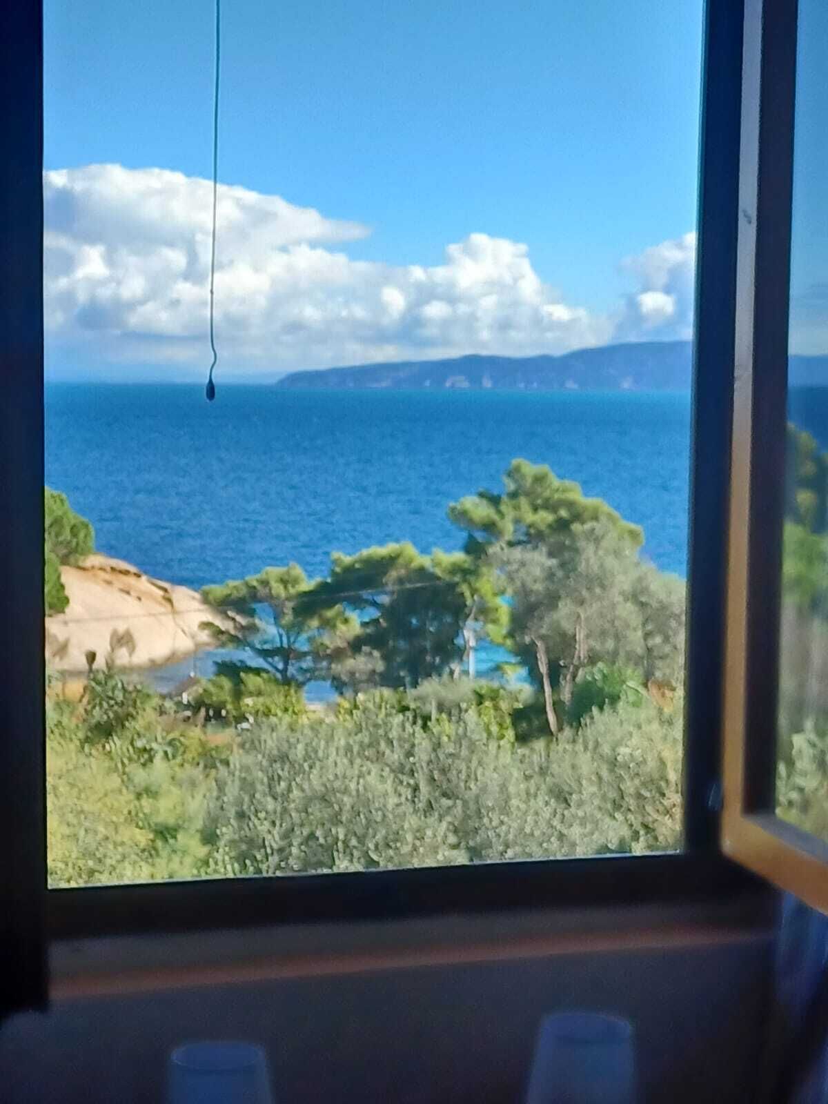A view from a window overlooking a coastal landscape with trees and a clear sky.