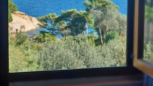 A view from a window overlooking a coastal landscape with trees and a clear sky. - CASA MARGOT (RELAX WITH VISTA), independent, 300mt from the sea and the beach (Isola del Giglio)