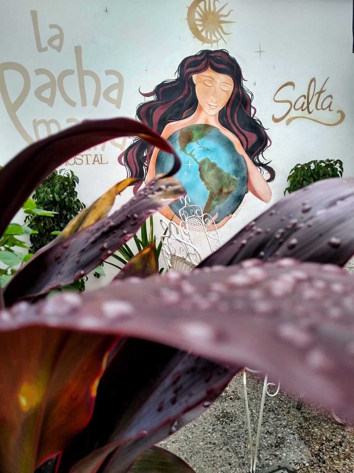 Foto - Hostal La Pachamama