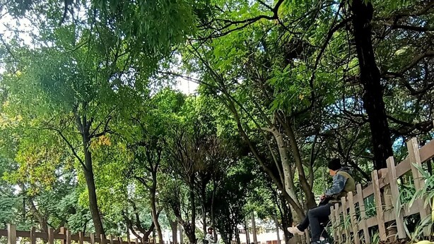 住宿城市景觀