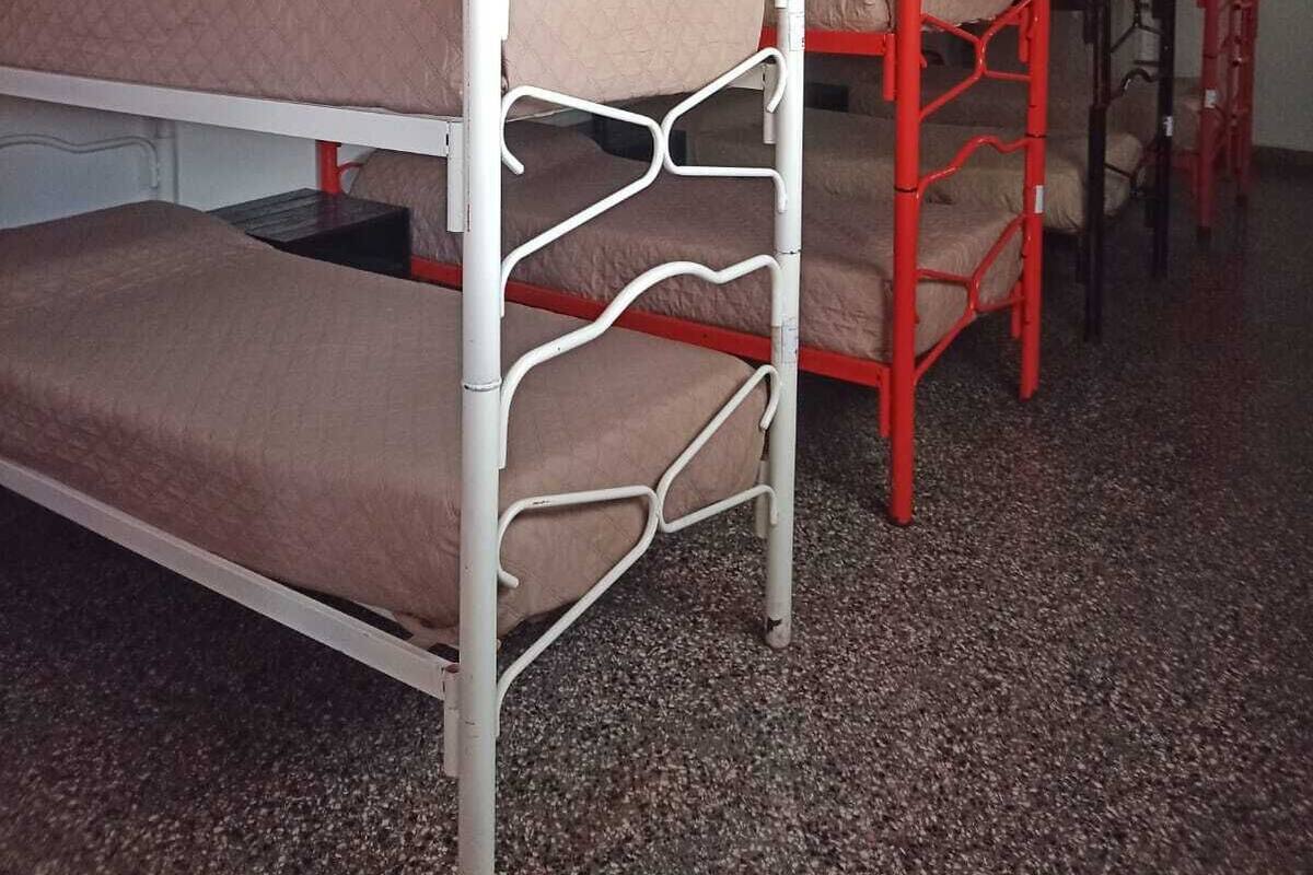 Bunk beds in a room with a wooden ceiling and a white wall.