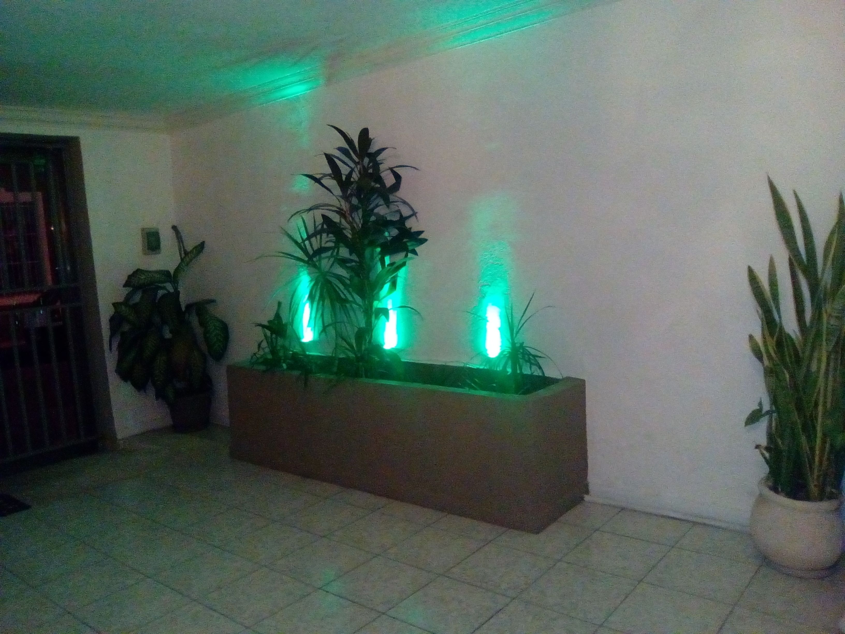 A reception area with a planter box containing plants and illuminated green lights.