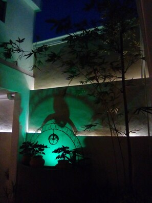 Blick auf den Garten