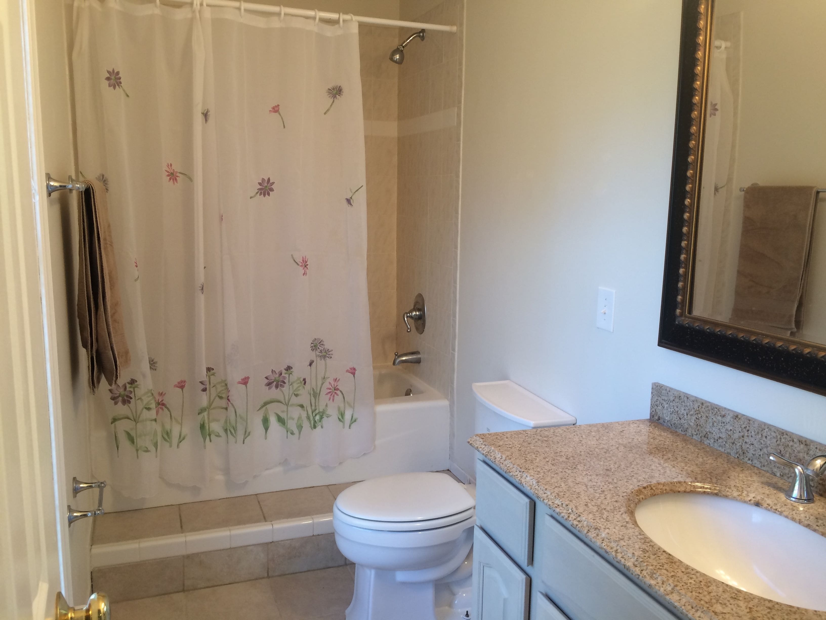 Une salle de bain avec un rideau de douche, des toilettes, un lavabo et un miroir.