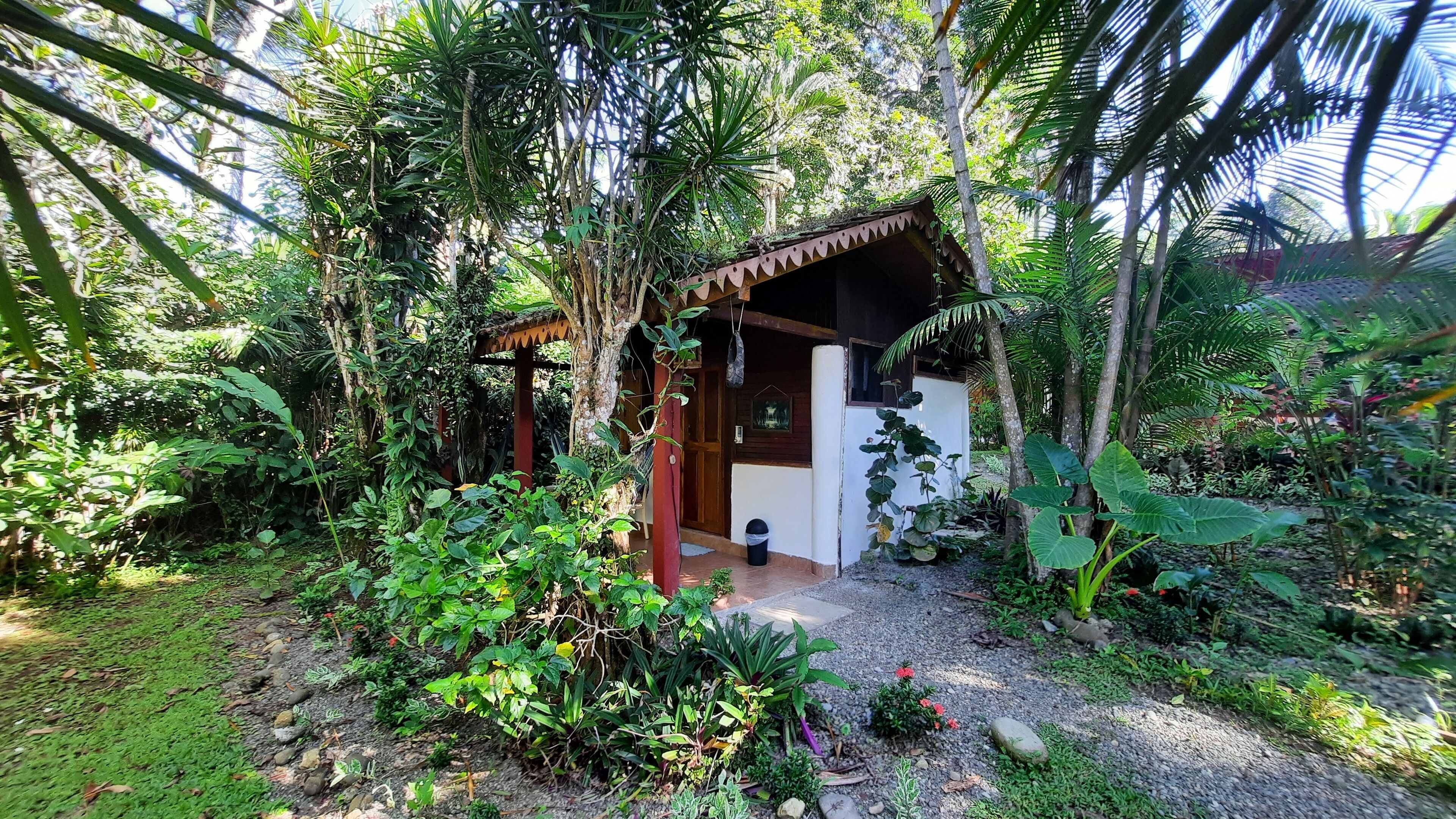 A small, rustic wooden structure with a thatched roof, surrounded by dense tropical vegetation.
