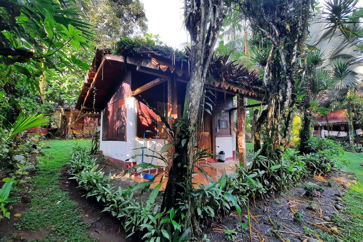 Une maison en bois à l’allure rustique, entourée d’une végétation luxuriante et agrémentée d’un petit jardin.