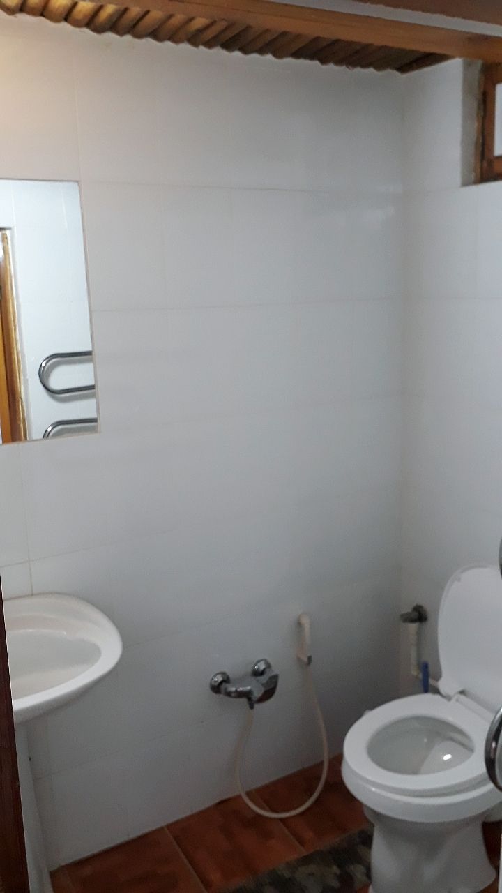 A bathroom with a white sink, a toilet, and a shower.