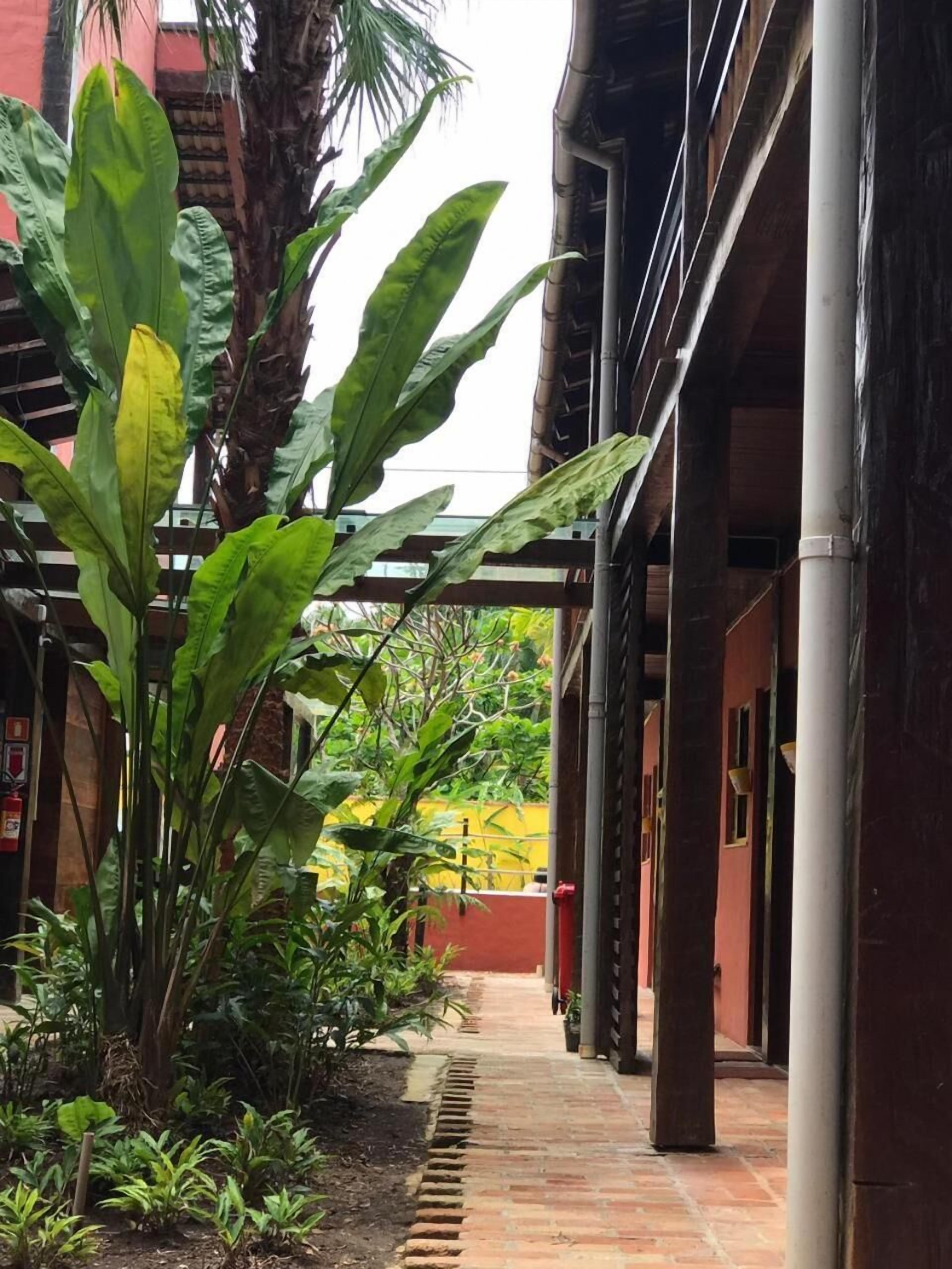 Área da propriedade