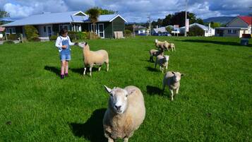 المنشأة من الخارج