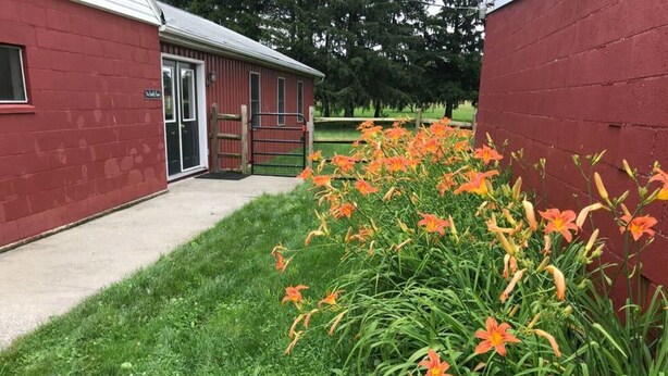 Un edificio rojo con una puerta y un pequeño jardín con flores anaranjadas.