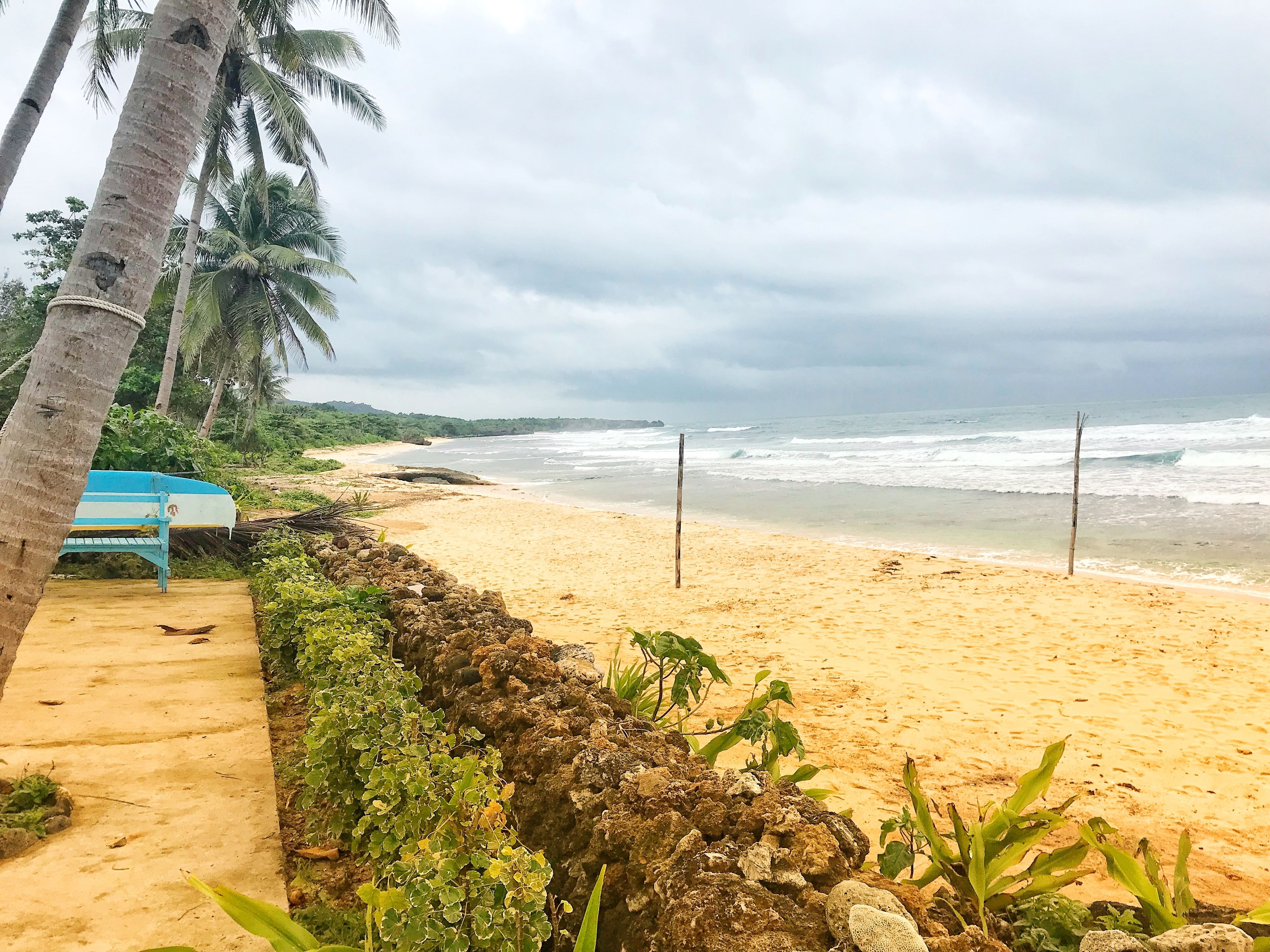 Ein Strand mit einer Holzbank, Palmen und einer felsigen Küstenlinie.