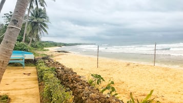 Ein Strand mit einer Holzbank, Palmen und einer felsigen Küstenlinie.