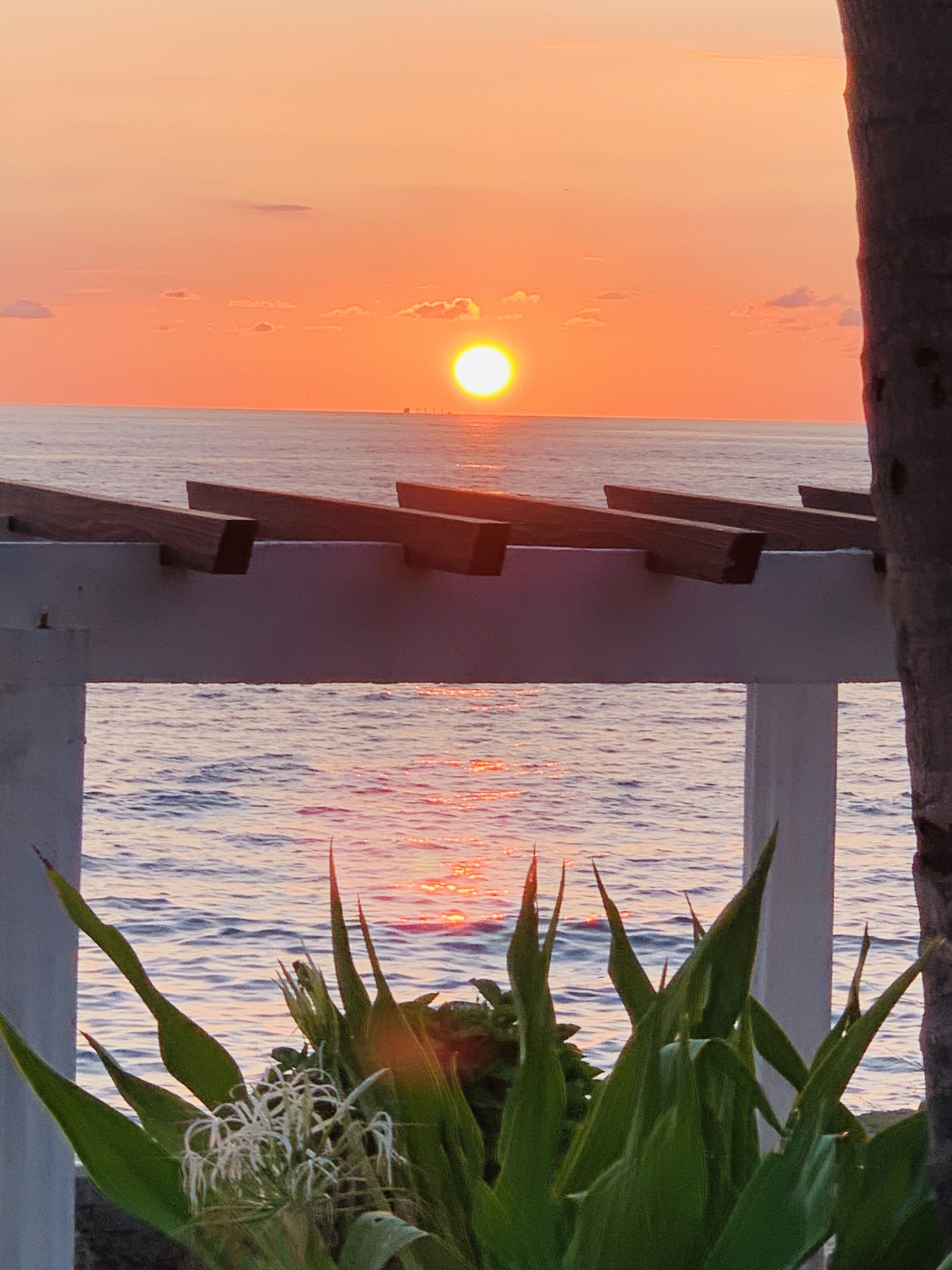 Vista al atardecer a través de una pérgola de madera con vistas al océano.