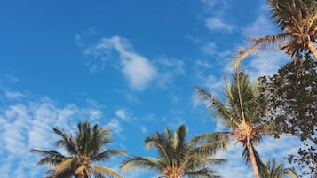 Relax in a serene tropical setting surrounded by palm trees and a picturesque pergola.
