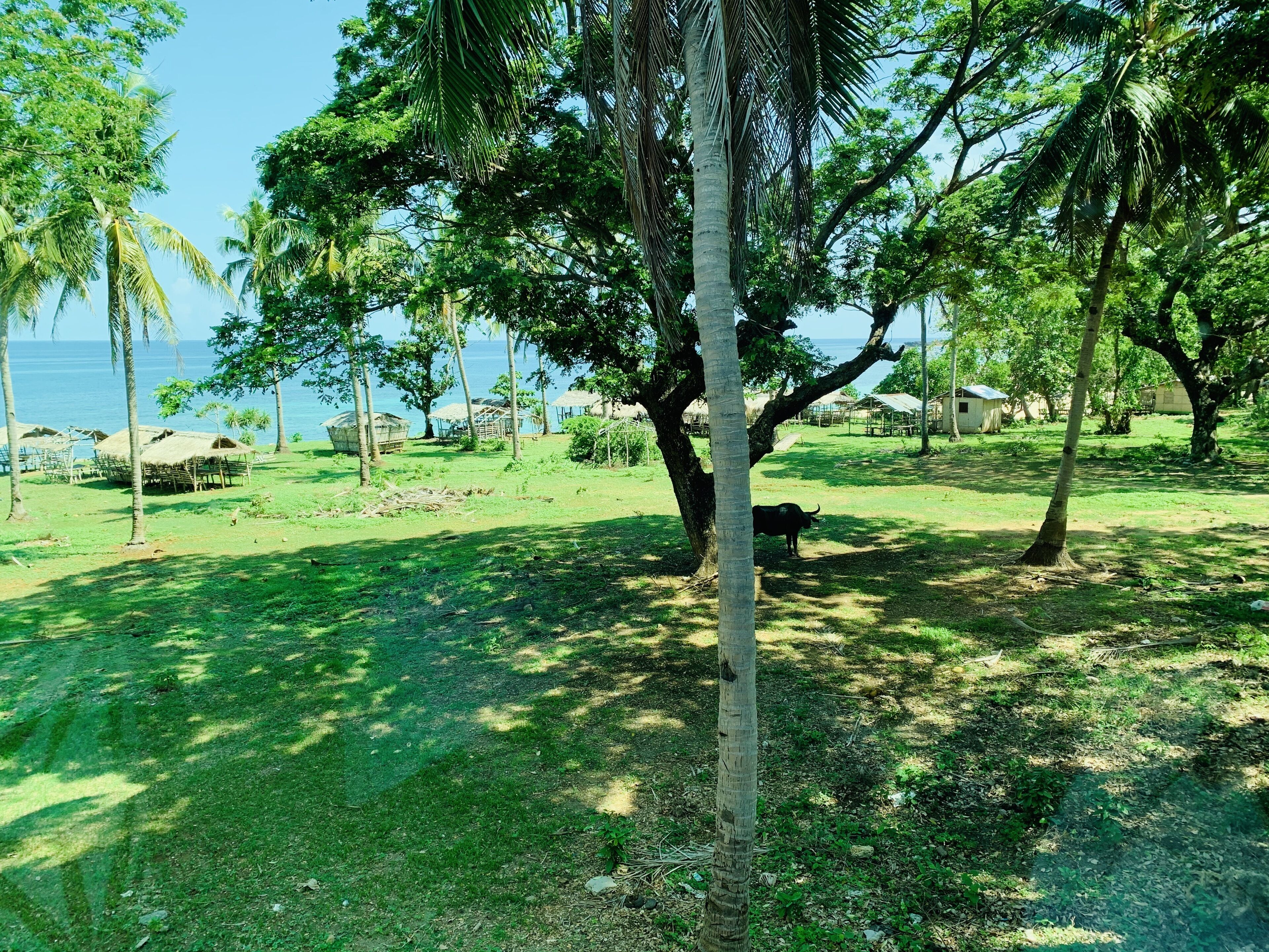 A tropical landscape with palm trees, a grassy area, and thatched-roof huts near a body of water.