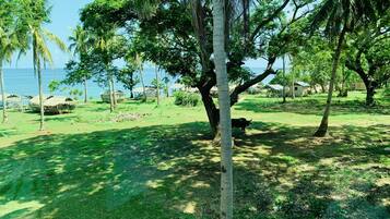 A tropical landscape with palm trees, a grassy area, and thatched-roof huts near a body of water.