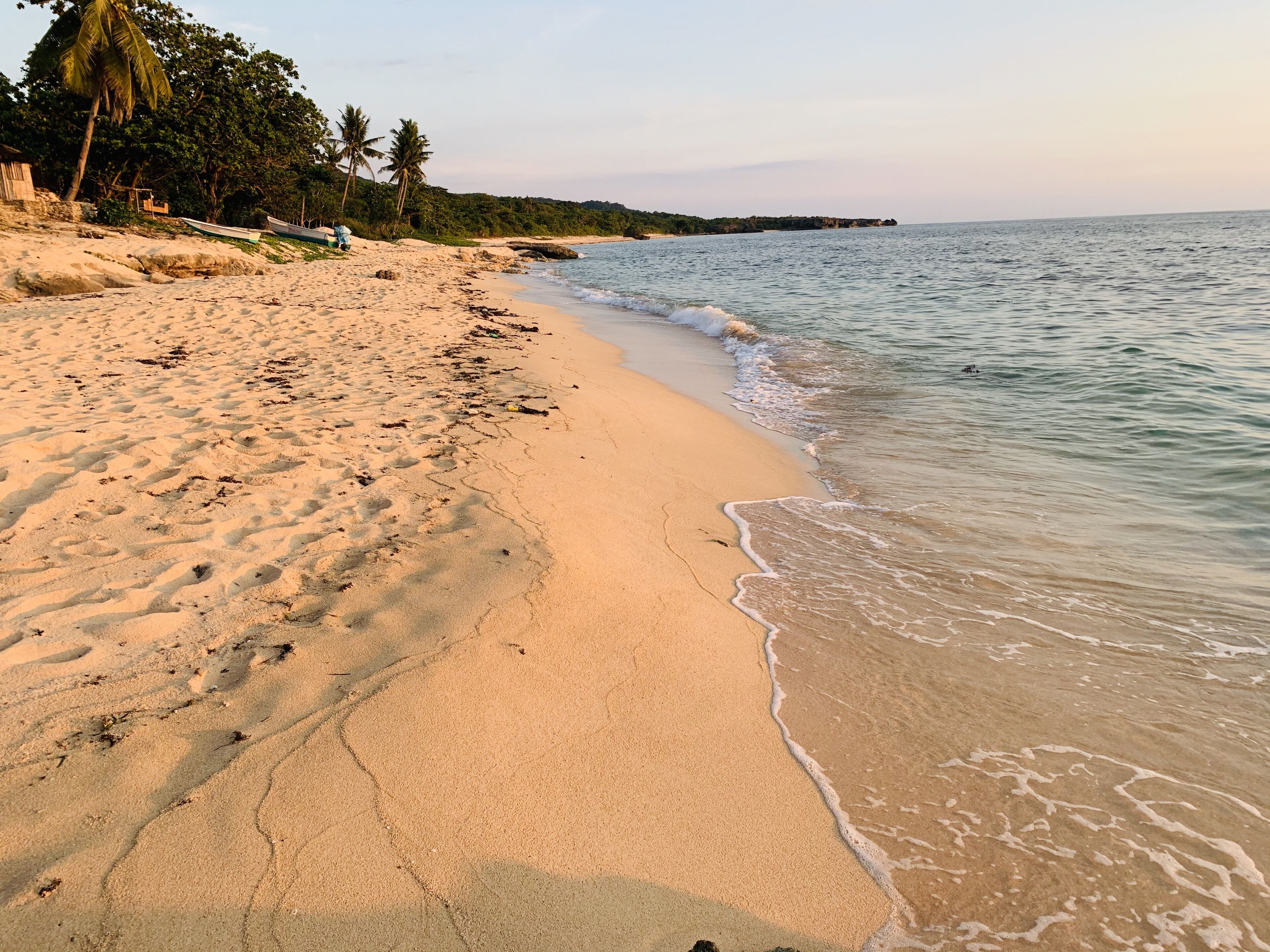 A sandy beach with footprints and seaweed, palm trees, and a calm sea.
