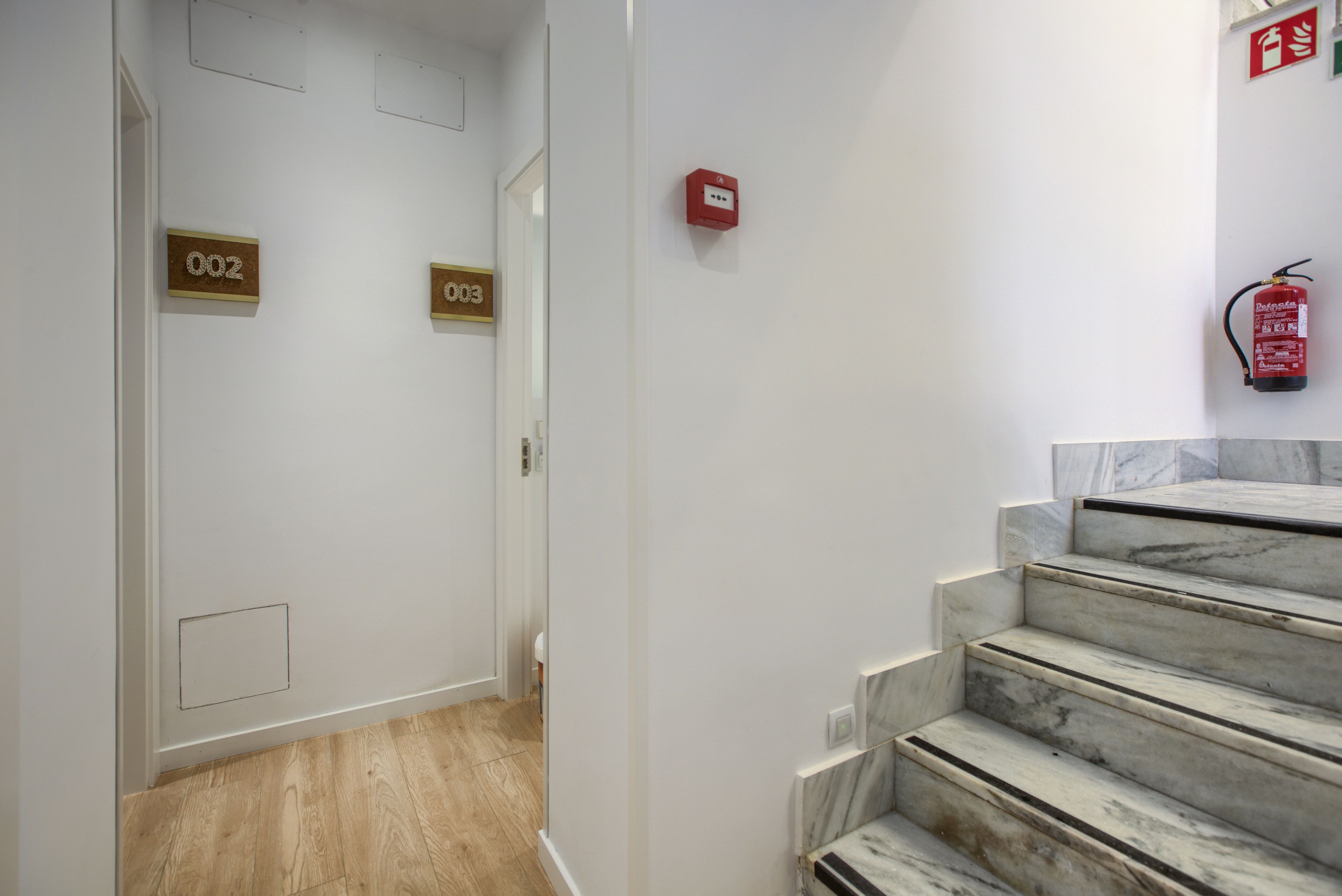 Photo - The Match Madrid