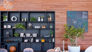 Een moderne woonkamer met een houten vloer, een zwarte boekenkast en een grote potplant.