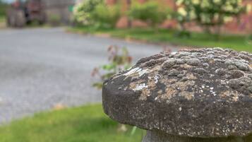 DĂ©tail de lâextĂ©rieur