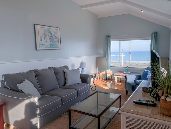 Televisio, takka, DVD-soitin, kirjoja