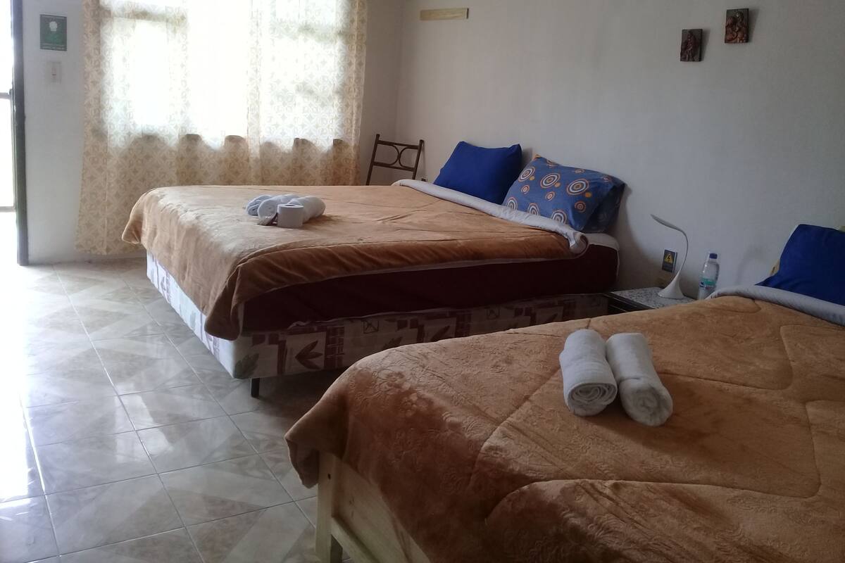 A hotel room with two beds, each with a brown bedspread and blue pillows. There is a window with patterned curtains, a bedside table with a lamp, and a water bottle on the table.