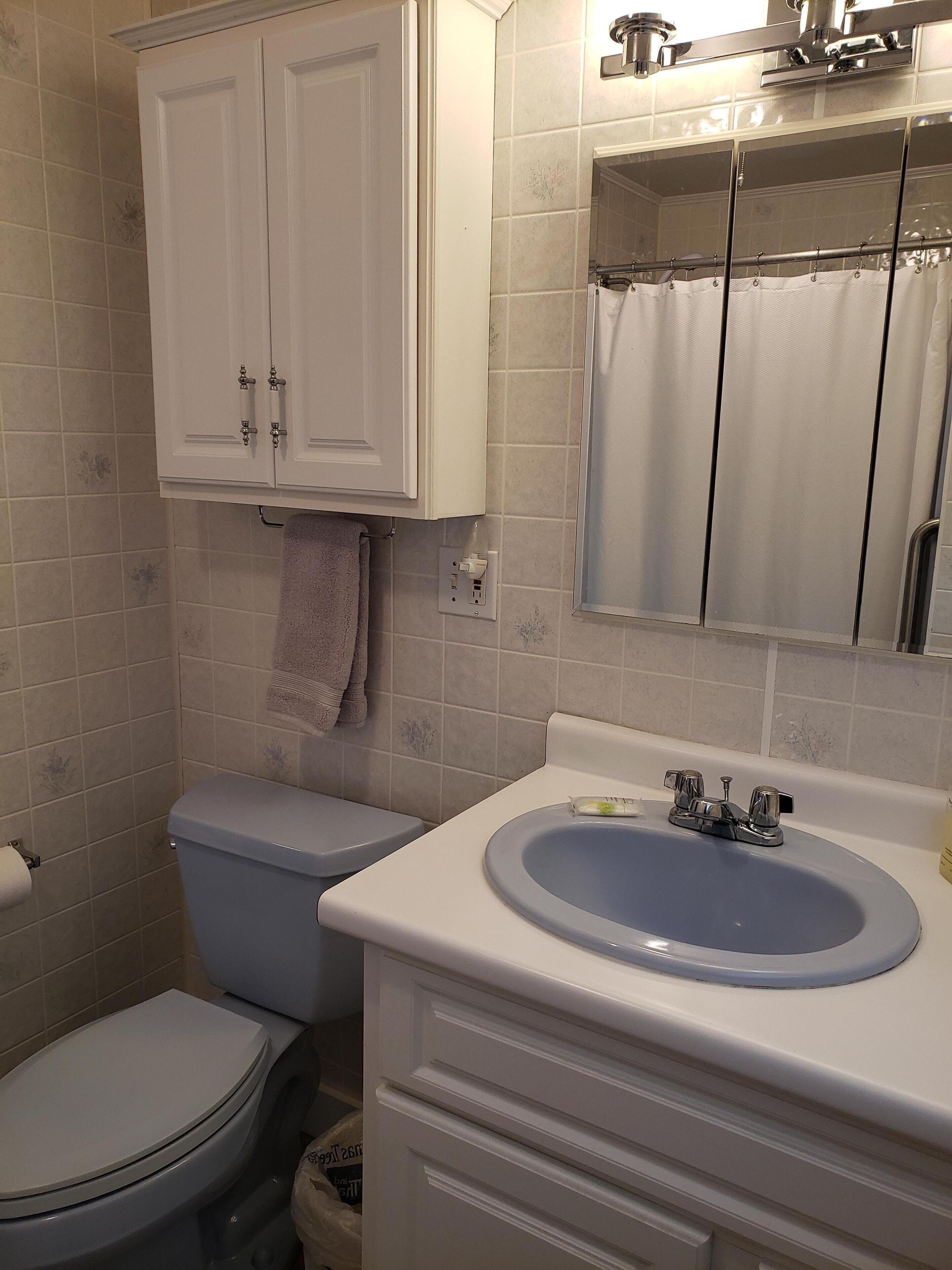 Un bany amb vàter, un lavabo, un mirall i una cortina de banyera.