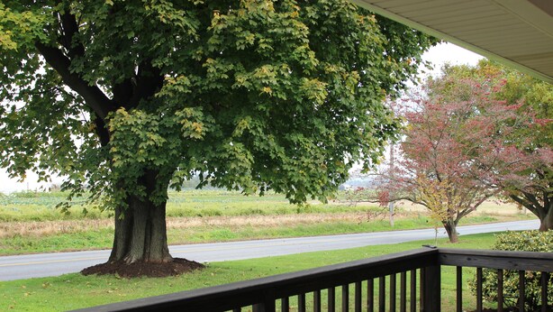 A porch with a view of a road and trees. - Small Home Paradise - close to Lancaster attractions (Paradise)