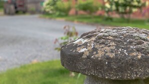 Un banco de piedra en un espacio verde con un edificio de ladrillo al fondo.