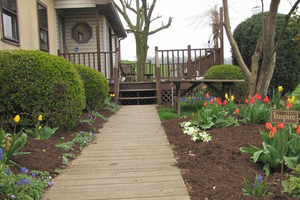 Springtime flowers